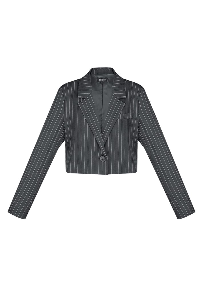 Pinstripe Cropped Blazer - Grey 